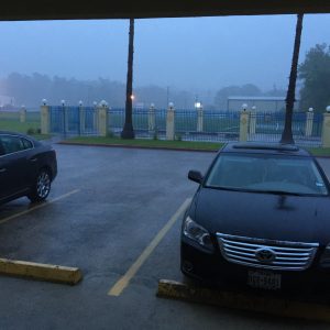 Started raining right after I got to my room.