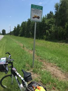 Rode many miles on the Walkin Lawton Trail