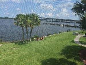 View of the St. Johns river